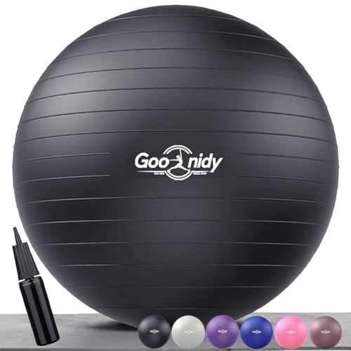 PL-0015 Soft Exercise Ball, Anti-Burst Yoga Ball Chair Supports 2200lbs PL-0015