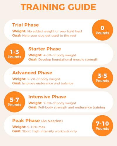 Weighted Dog Vest and Collar Set with 4 Removable 0.88 lb Weight Blocks, No Sand Filling, Training Gear for Medium and Large Dogs, Walking, Conditioning, Muscle Building-XL