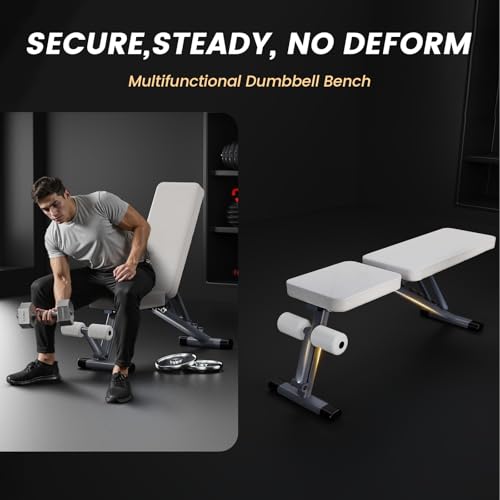 Adjustable Weight Bench for Home Gym, Stable Folding Workout Bench for Dumbbell & Full Body Strength Training