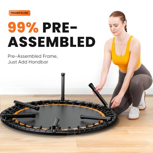 Zupapa Foldable Rebounder 48in, 550LBS Adjustable Handle Fitness Trampoline with Durable Bungees, Stable & Quiet Exercise Rebounder for Adults, Great Exercise Trampoline for Home/Gym Workout