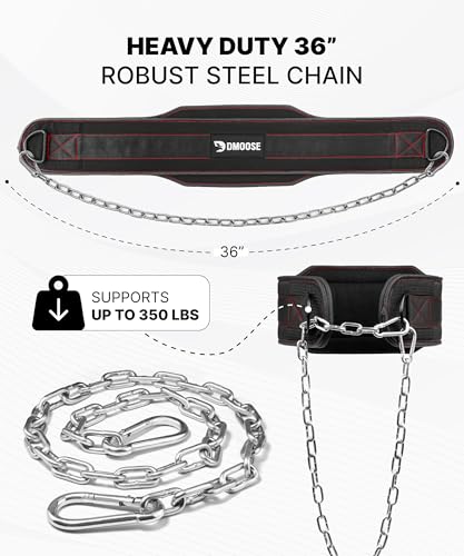 DMoose Fitness Dip Belt for Weight Lifting, Pullup, Squats & Dips - 36" Robust Steel Chain, Comfortable Neoprene Padding Supports 350lbs - Gym Weight Belt for Strength Training Workout & Weightlifting