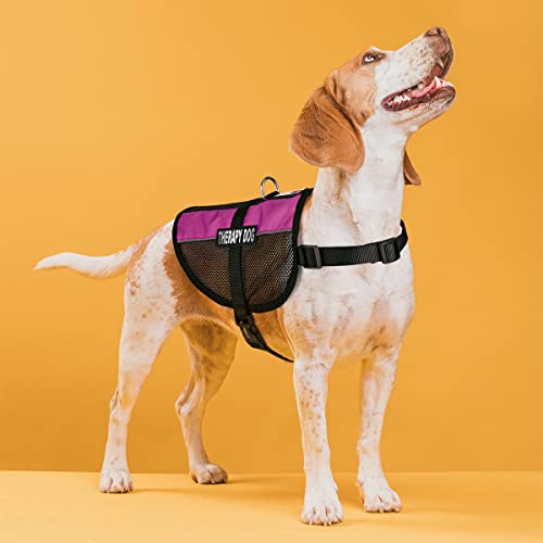Dogline MaxAire Multi-Purpose Mesh Vest for Dogs and 2 Removable Therapy Dog Patches, Small, Pink