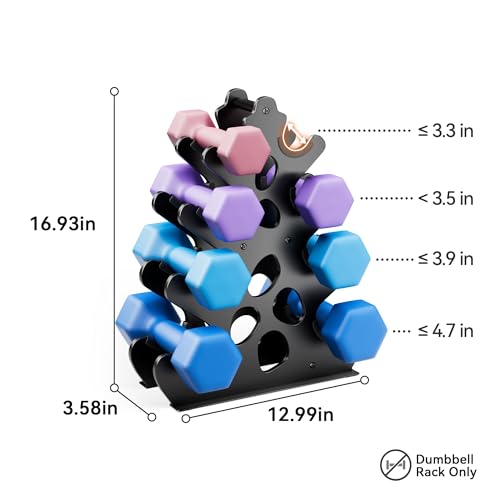 4 Tier Dumbbell Rack, Weight Rack For Home Gym, Dumbbell Stand for Free Weights - size: 4 tier