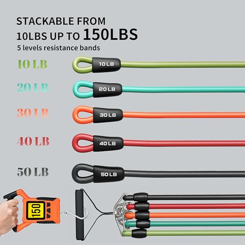 PROIRON Resistance Bands, Anti-Breakage Exercise Bands，Resistance Bands for Working Out with Handles,Weight Bands for Strength Training Men and Women-Five-Rope Set