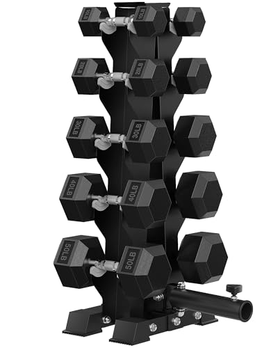 HANDBODE A-Frame Dumbbell Rack Heavy Duty Weight Stand for Dumbbells, Space-Saving Metal Storage Organizer, Sturdy Dumbbell Holder for Home Gym - style: 300 lb Set (10, 20, 30, 40, 50 lb) *2 & Rack
