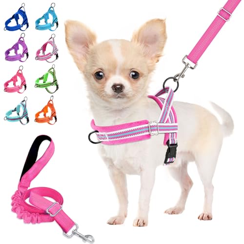 Lukovee No Pull Dog Harness and Leash Set, Soft Padded Small Dog Harness, Neck & Chest Adjustable Reflective Vest Puppy Harness with 4ft Lightweight Anti-Twist Dog Leash for Small Dogs (XS, Fuschia)