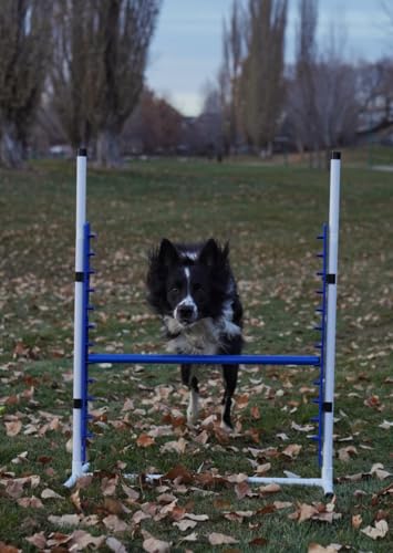 4 Pack Adjustable Dog Agility Bar Jumps w/Cup Strips | Competition-Style Jump Cups for Height Class & Safe Displacement