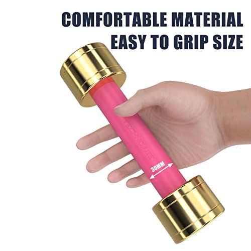 TECHNOAGE Round Dumbbell Sets with Steel Handle, Odorless Neoprene rubber Handle Cover - color: Rose Red-6PC