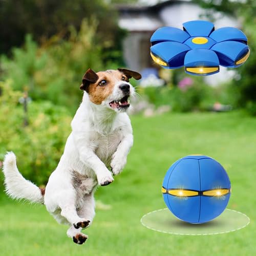 2PCS Dog Flying Disc Toy, Pet Toy Flying Saucer Ball with 3 Light for Dogs, Dog Toy Outdoor Toy Doggy Disc Ball, Outdoor Games - color: Green+Blue