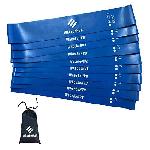 Resistance Loop Exercise Bands-5/10 Pack-10/12 Inch Stretch Bands for Working Out with Carry Bag-Elastic Bands for Physical Therapy, Rehab, Yoga, Pilates and Strength Training at Home or Gym - color: Blue 10 Pack (Light), size: 10×2 Inch