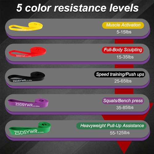 Pull Up Assistance Bands Complete Set,Heavy Duty Adjustable Resistance Bands with Handle Assembly，Latch Mechanism，Perfect for Men Women Seniors for Pull Up Bar,Dip&Resistance Strength Training