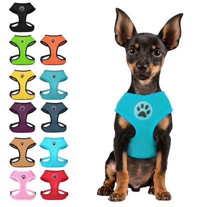BINGPET Small Dog Harness, No Pull Step-in Puppy Pet Vest, Blue - color: Royal Blue, size: XS (NECK: 10", CHEST: 10"-14")