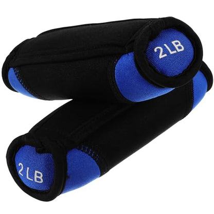 BESTonZON Soft Sandbag Dumbbells 2lb Pair Blue Hand Weights for Running Fitness Hand Exercising Equipment Home Workout Arm Strength Training