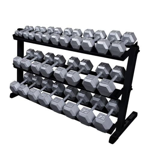 Body-Solid (GDR60B) 2-Tier Dumbbell Rack Stand Only, Heavy-Duty Dumbell Weight Storage Racks for Hand Weights, Home Gym Organizer Can Hold 5-50 lbs. Dumbbells
