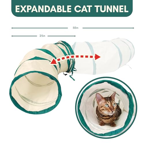 ALBERT & MIA CATGILITY Cat Agility Equipment + Clicker Trainer Guide – Exercise Agility Course – Jumping Hurdles & Hoop, Tunnel (Small Dog & Cat Training) Clicker Training Obstacle Course for Cats