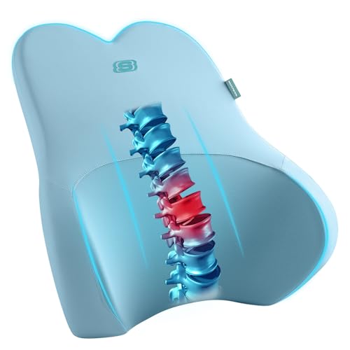 Skechers Air-Cooled & Memory Foam Lumbar Pillow,Lumbar Support Pillow for Office,Chair Lower Back Pain Relief Lumbar Pillow,Ergonomic Design Back Support Pillow for Office Chair,Car,Home,Travel,Blue - color: Blue