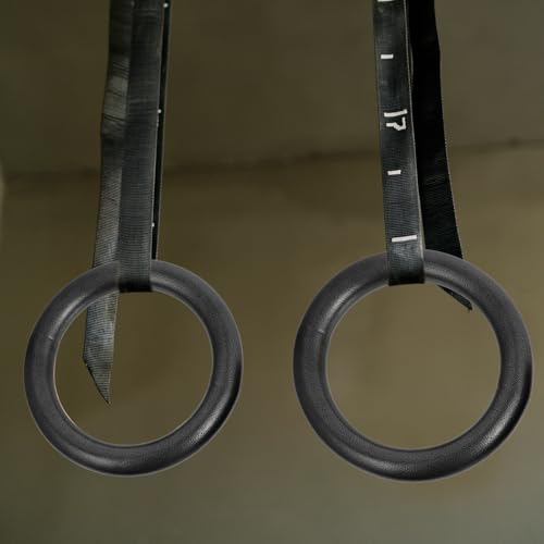 Alipis 2 Pc Set Small Home Gymnastics Rings with Nylon Rope