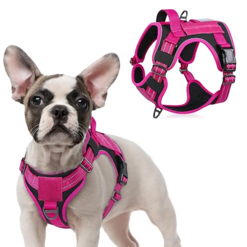 rabbitgoo Tactical Dog Harness for Small, No Pull Military Service Vest - color: Black & Rose Red, size: Small