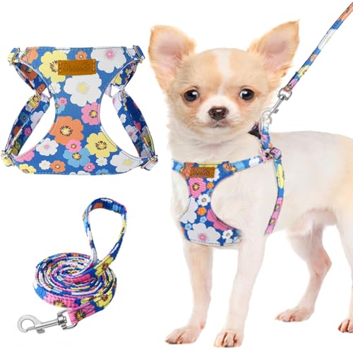 Lukovee No Pull Puppy Harness and Leash Set - Adjustable Lightweight Soft Suede Pet Harness Vest, with Snap Buckle & 51in Leash for Small Medium Dogs (Blue Flower, XXS) - color: ·Blue Flower, size: XX-Small ( 2.2-6lb )