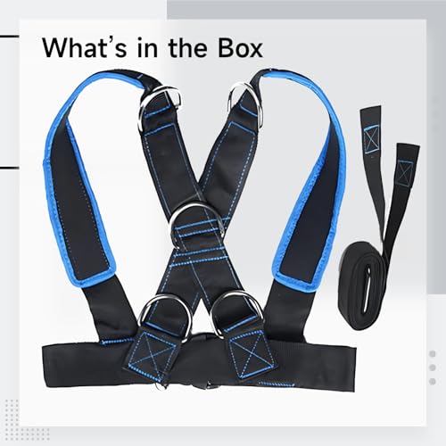 Sled Harness for Strength Training with Towing Strap, Waist 33.1-45.7 in, Y-Shape Strap, Features 5 D-Rings, Core Workout
