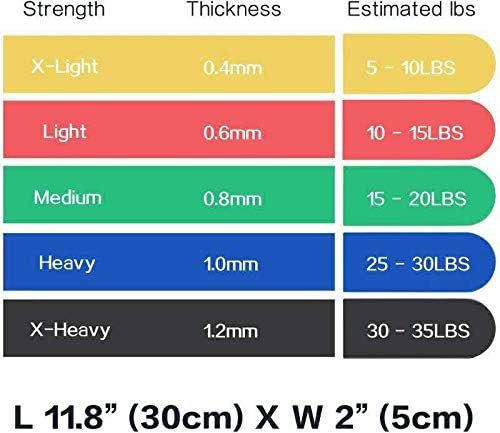 Resistance Loop Bands with Workout Poster 16.5”x 22.4”,Set of 5 Exercise Bands for Crossfit Workout and Physical Training