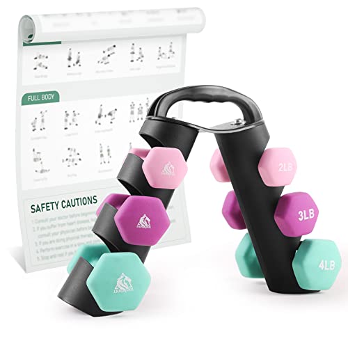 LIONSCOOL Set of 2 Neoprene Coated Dumbbell Hand Weights, Anti-Slip and Anti-Roll Hex Dumbbells in Pair for Strength Training, Resistance Training - style: 18lb, set of 6 with stand (Spring Bloom)