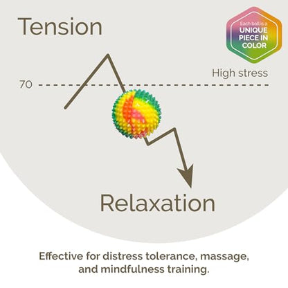2X Spiky DBT Skill Balls | 2inch | Magnetic Stress Relief Balls | Spiky Massage Balls for Relaxation, Tension Release, Focus & Mobility (Rainbow) - color: Rainbow