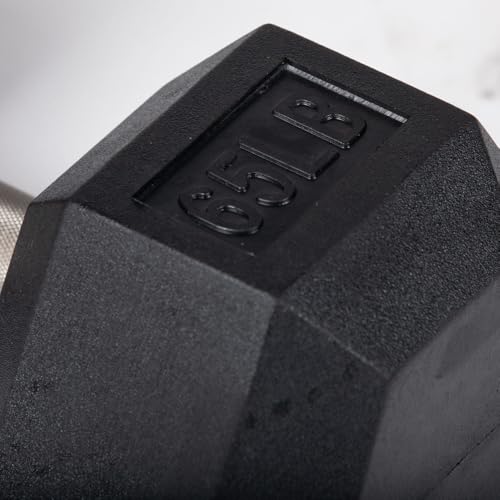 Titan Fitness 65 LB Pair Free Weights, Black Rubber Coated Hex Dumbbell, Straight Stainless Steel Handle, Strength Training, Full Body Workout