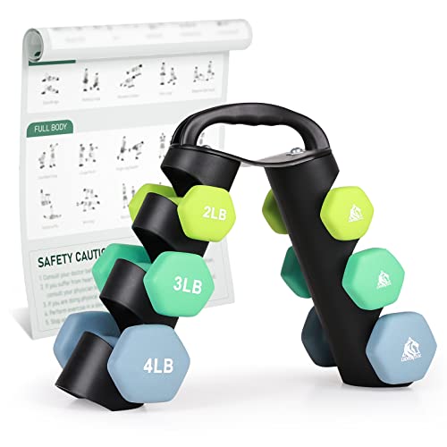 LIONSCOOL Set of 2 Neoprene Coated Dumbbell Hand Weights, Anti-Slip and Anti-Roll Hex Dumbbells in Pair for Strength Training, Resistance Training - style: 18lb, set of 6 with stand (Daylight Prairie)
