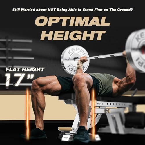 Keppi Fitness Bench6000 Weight Bench, Commercial Grade FID Workout Bench - color: Stainless