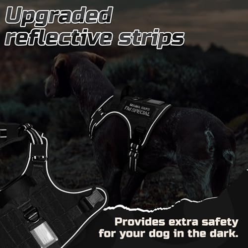 rabbitgoo Tactical Dog Harness for Small, No Pull Military Service Vest - color: Black, size: Small