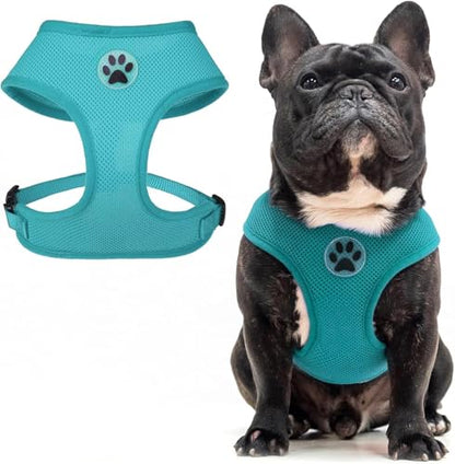 BINGPET Small Dog Harness, No Pull Step-in Puppy Pet Vest, Blue - color: aqua blue, size: XS (NECK: 10", CHEST: 10"-14")