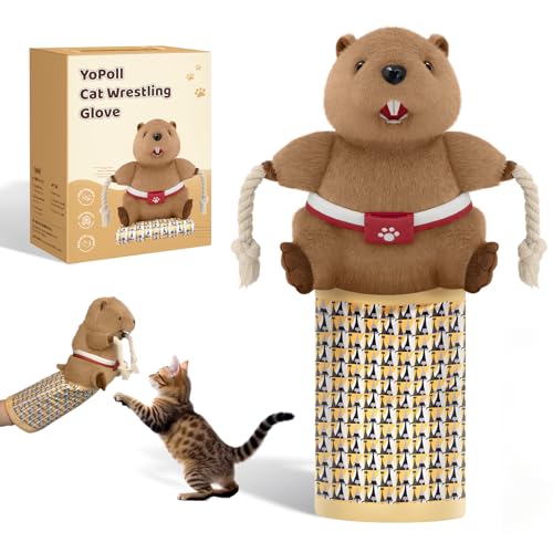 Cat Wrestling Glove, Cats Puppet Wrestler with Tough Padding for Safe Interactive Play, Cat Wrestling Toy Puppet with Cats Teaser and Bell for Boredom Busting Training and Exercise