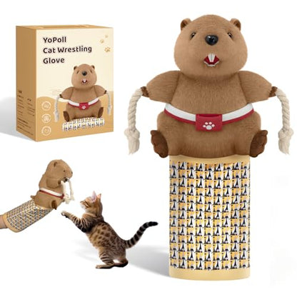 Cat Wrestling Glove, Cats Puppet Wrestler with Tough Padding for Safe Interactive Play, Cat Wrestling Toy Puppet with Cats Teaser and Bell for Boredom Busting Training and Exercise