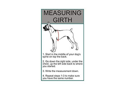 Doggie Stylz Service Dog in Training Vest 2 Hook and Loop Removable Reflective Patches, Straps and Handle – Harness Comes in Sizes XXS to XXL and 4 Colors (Girth 12-16", Tie Dye) - color: Tie Dye, size: Girth 12-16"