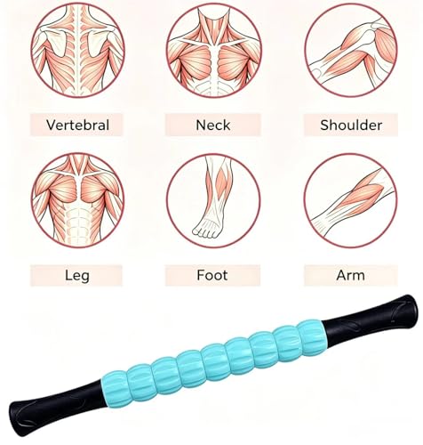 Muscle Roller Stick - A Full-Body Massage Roller that Can Relieve Muscle Soreness, Cramps and Tension After Exercise. It is a Handheld Physical Therapy and Recovery Tool (Green and Black) - color: Green Black