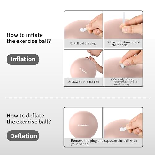 FITMIND_Pilates Ball 10 Inch Anti-Burst Slip Resistant Mini Yoga Ball for Fitness, Core Training, Physical Therapy, Balance, Stability, Stretching 200kg 440lbs Capacity