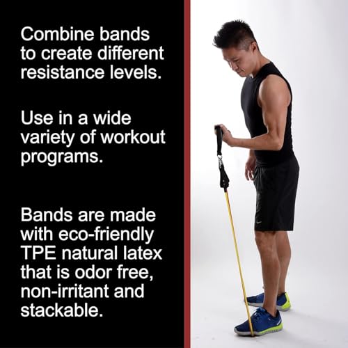 BodyForge Resistance Bands, Exercise Bands, Resistance Bands for Working Out, Work Out Bands with Handles for Men and Women Fitness, Strength Training Home Gym Equipment - size: 4 Pack