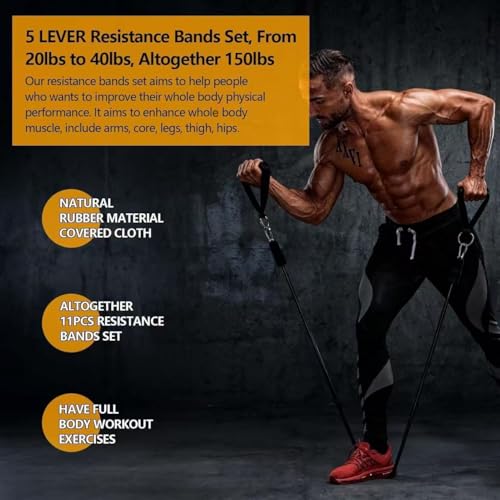 Resistance Bands Set for Working Out, 150lb Exercise Trainer