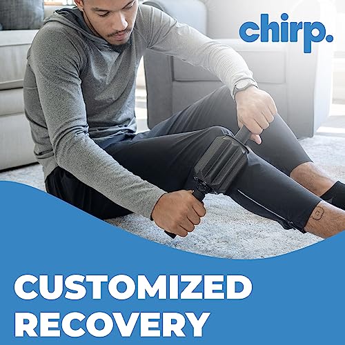 Chirp 3-in-1 Muscle Roller - Customizable Recovery Massager for Targeted Deep Tissue Massage, Pressure Point Relief for Back and Legs, Durable Foam Roller Supports up to 500 lbs, 4 x 4 x 24 inches - style: 3-in-1 Muscle Roller