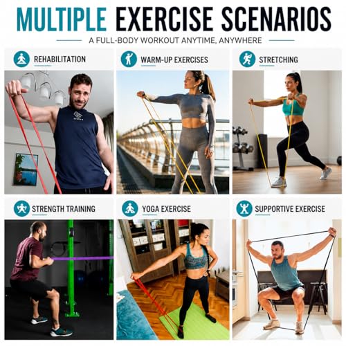 Resistance Bands Set, Anti-Snap Workout Bands with Handles, Stackable Resistance Bands for Men & Women, Home Gym Equipment with Door Anchor for Strength Training & Full Body Workout