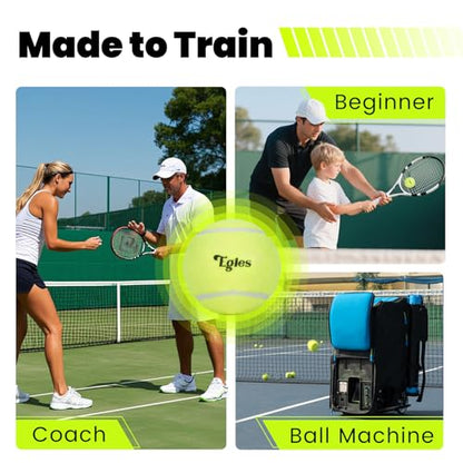Egles 12/20/60 Packs Tennis Balls for Training and Dogs, High Elasticity Practice Tennis Ball with Mesh Bag for Transport and Beginner Exercise, Durable Pet Playing Tennis Ball Set