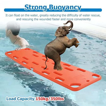 Foldable Transfer Stretcher, Lightweight 4-Fold Spine Board, PE Plastic for Patient Transport, tial Ambulance Equint, Emerncy Tool