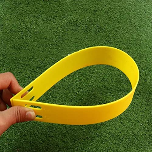 Agility Ladder Adjustable Agility Ladder, Flexibility Speed Training Ladder, Fitness Jumping Ladder Footwork Sport Equipment, with Carry Bag(Size:6M) - size: 6M