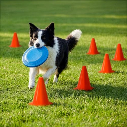 40 Pack Plastic Training Cones, 7 Inch Plastic Soccer Cones, Agility Marker Cone Traffic Cone for Basketball, Football, Skating Drills Practice, Indoor and Outdoor Games