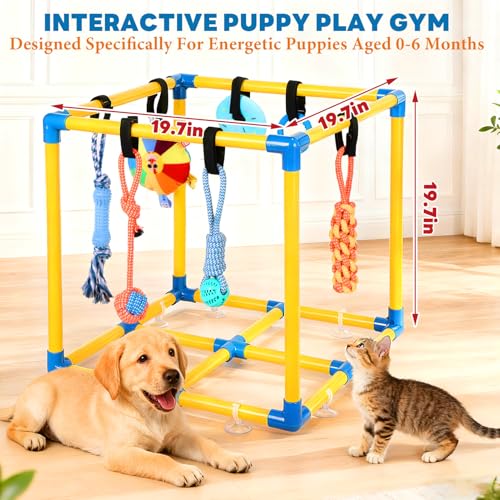 WLLEYAY Puppy Play Gym for Small Dogs 10 Hanging Toys,Interactive Dog Toys | Removable Indoor Jungle Gym,PVC Frame With Adjustable Bungee Straps, Interactive Tug Toys,Dogs Rope Toy To Keep Them Busy - color: Yellow & Blue