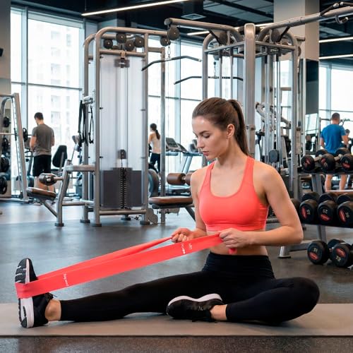 Resistance Band Set, Exercise Bands Physical Fitness Equipment