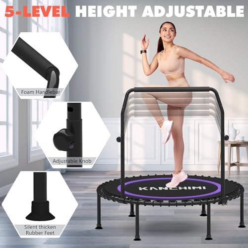 450/550LBS Mini Rebounder Trampoline for Adults with Bar, 40" /48" Fitness Trampoline Adjustable Foam Handle, Stable&Quiet Exercise Rebounder for Adults Indoor/Outdoor Workout(Purple, 550LBS)