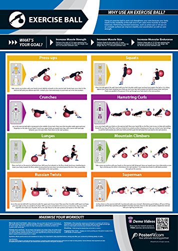 Exercise Ball | Full Core Workout | Improves Strength Training | Laminated Home & Gym Poster | Free Online Video Training Support | Size - 33” x 23.5” | Improves Personal Fitness - color: 3. Exercise Ball