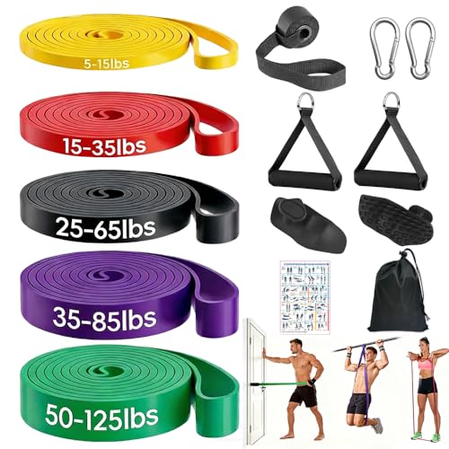 Pull Up Assistance Bands, Resistance Bands Set with Handles for Men Women, Workout & Exercise Bands, 5-Level Elastic Bands for Working Out, Stretch Bands for Home Gym, Stretching & Physical Therapy